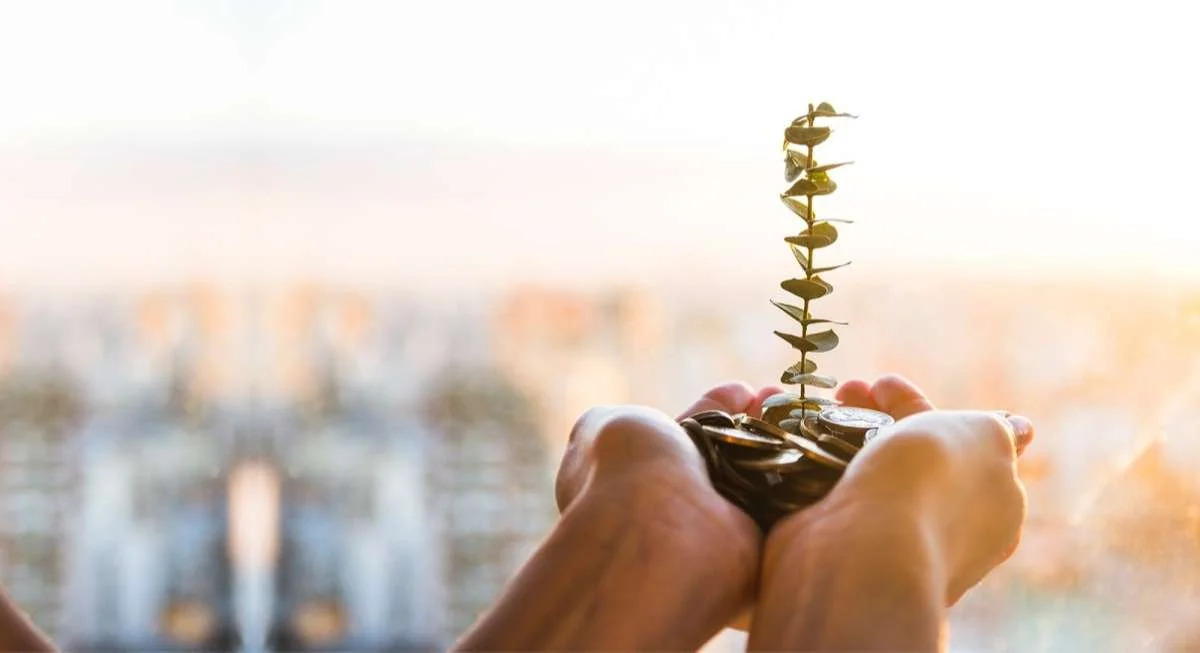 banner An image that show case how a financial advisory can help someones finances grow as if when plant gets a good fertilized soil.